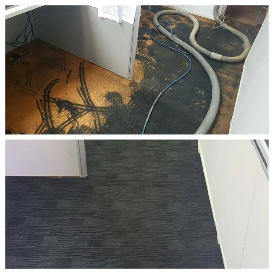 A flooded room&rsquo;s carpet during extraction and drying