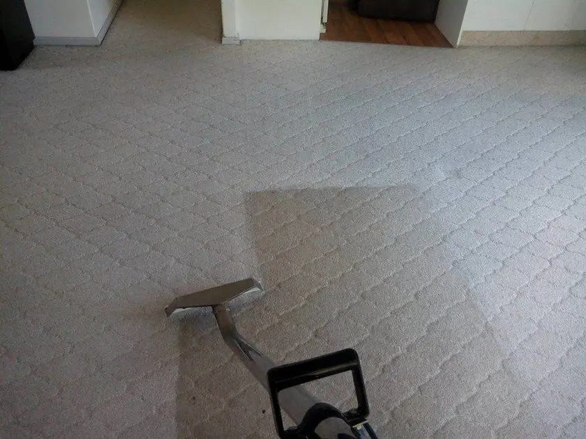 The Hydro X wand mid-pass on carpet, a clean stripe behind it