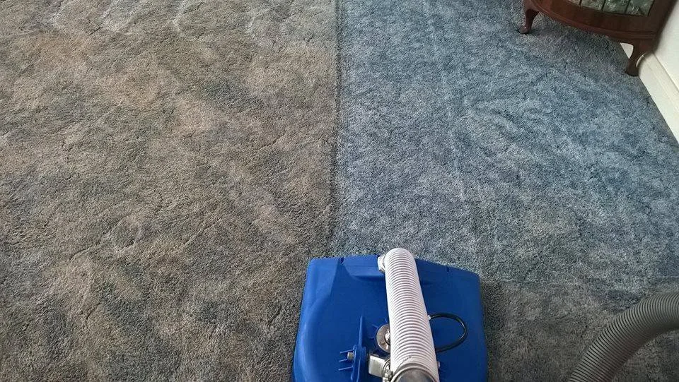 The wand crossing a blue-grey carpet, cleaned strip behind it