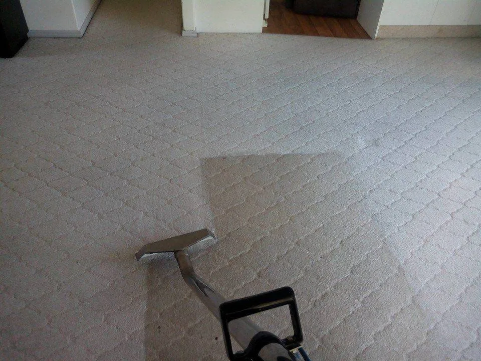 Carpet cleaning wand mid-pass, the second Hydro X trade