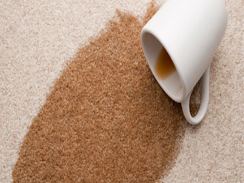 A coffee spill soaking into carpet before stain removal