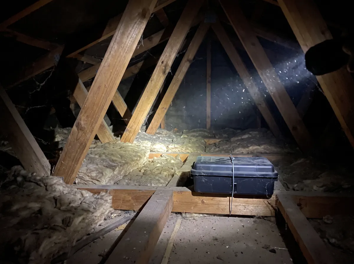 A secured bait station on a joist in a torch-lit roof cavity