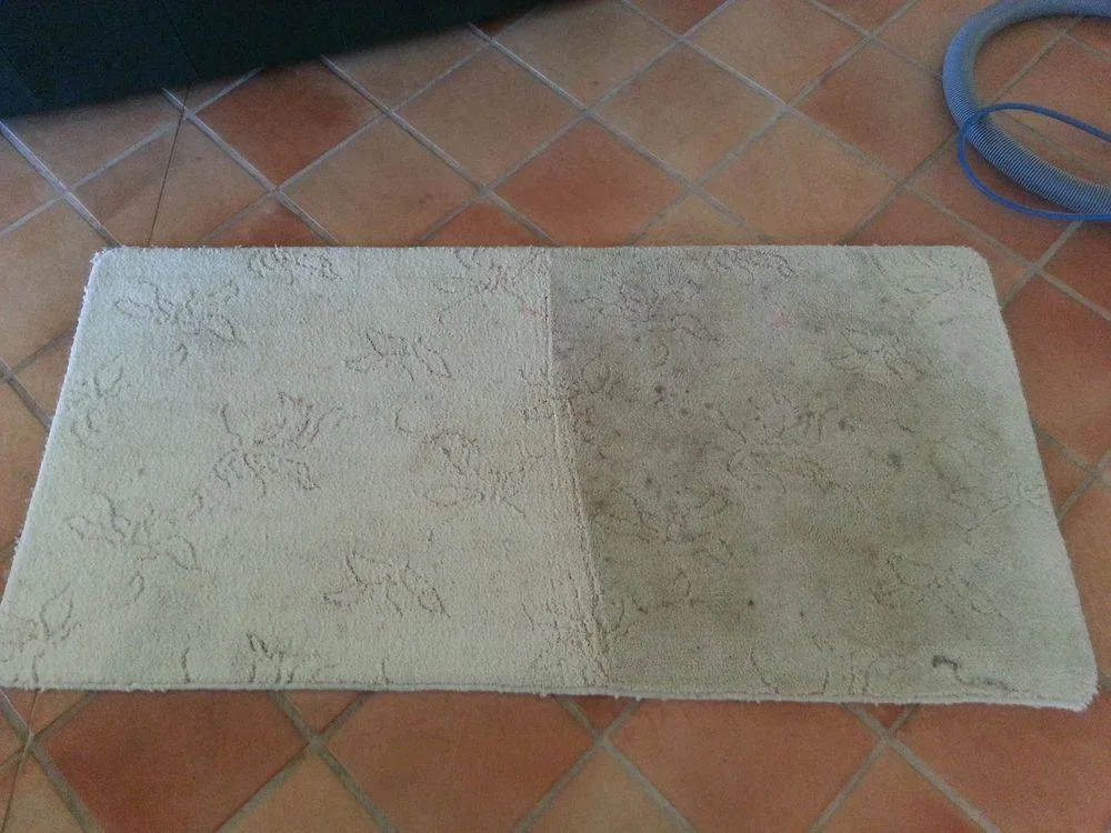 A rug half cleaned, the line between clean and soiled clearly visible